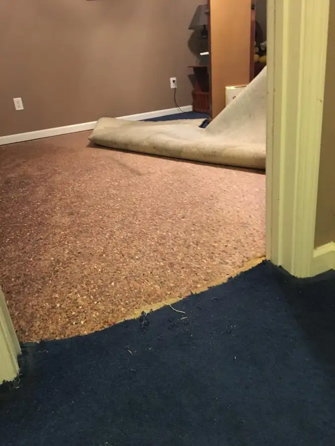 Carpet pad removal revealing water damage during Water Mitigation Services in Washington Court House
