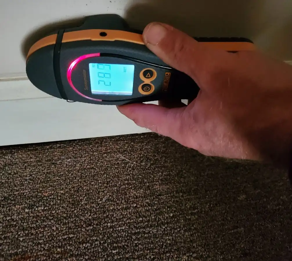 Moisture detection at baseboard during Sewage Cleanup & Sanitation in Washington Court House